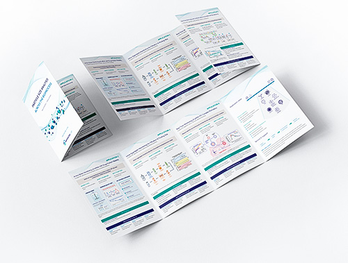 applications-mockup-1-light-bckgr-500px